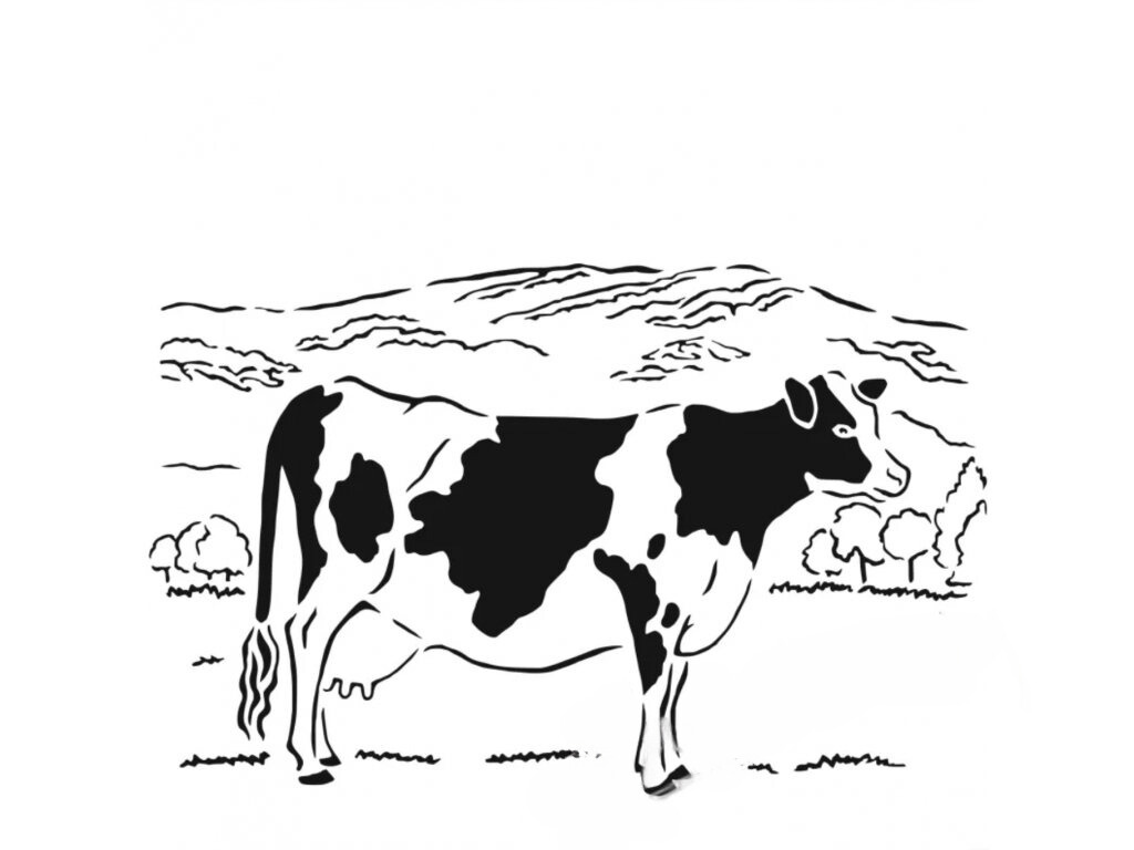 šablona - kráva